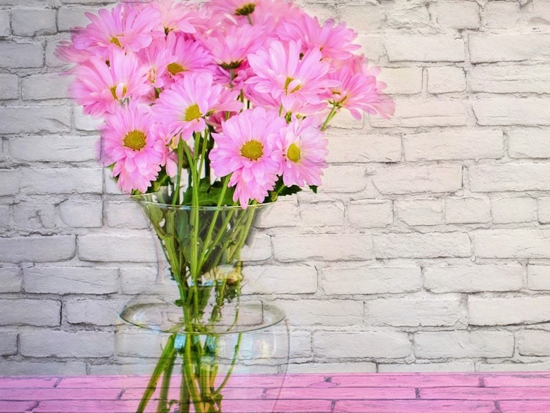 Vase Pink Flowers